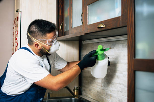 Best Best Pest Control Companies  in Douglas, GA