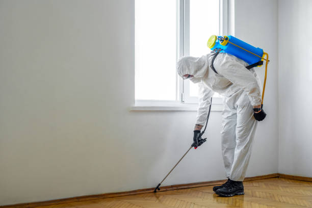 Best Pest Control Treatment  in Douglas, GA