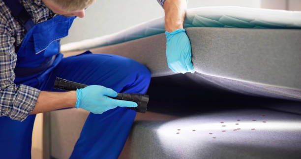 Best Ant Control Services  in Douglas, GA