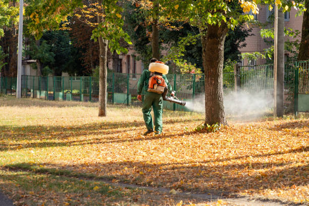 Best Mosquito Control Services  in Douglas, GA