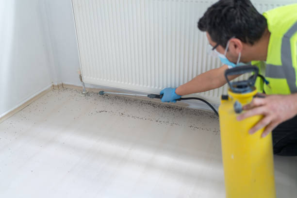 Best Affordable Pest Control Services  in Douglas, GA